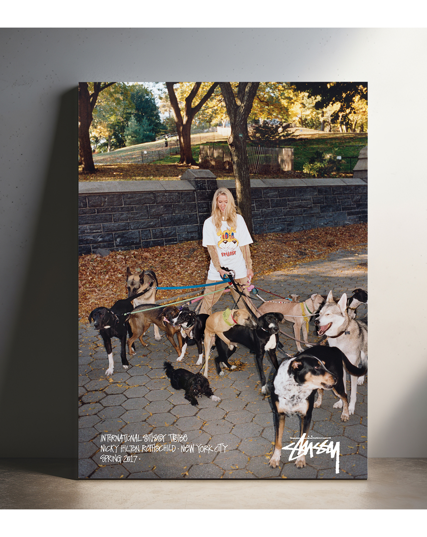 Nicky Hilton Rothschild Spring 2017 New York